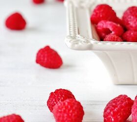 mini raspberry trifle