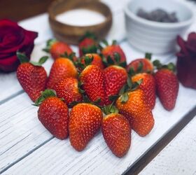 chocolate covered strawberry tart