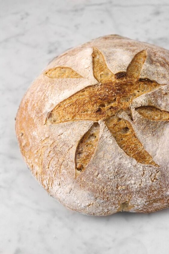 sourdough whole wheat bread with sunflower seeds