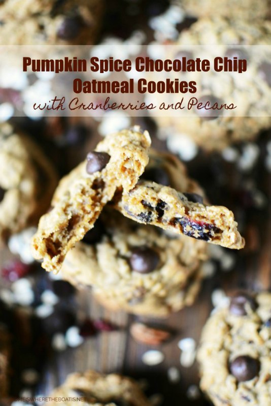 pumpkin spice chocolate chip oatmeal cookies with cranberries pecans