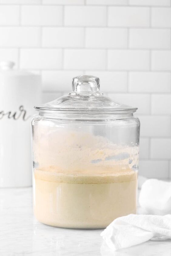 how to make a sourdough starter in 5 days
