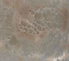 bubbly garden focaccia, Foamy yeast