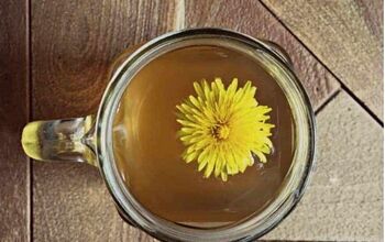 Dandelion Root Tea