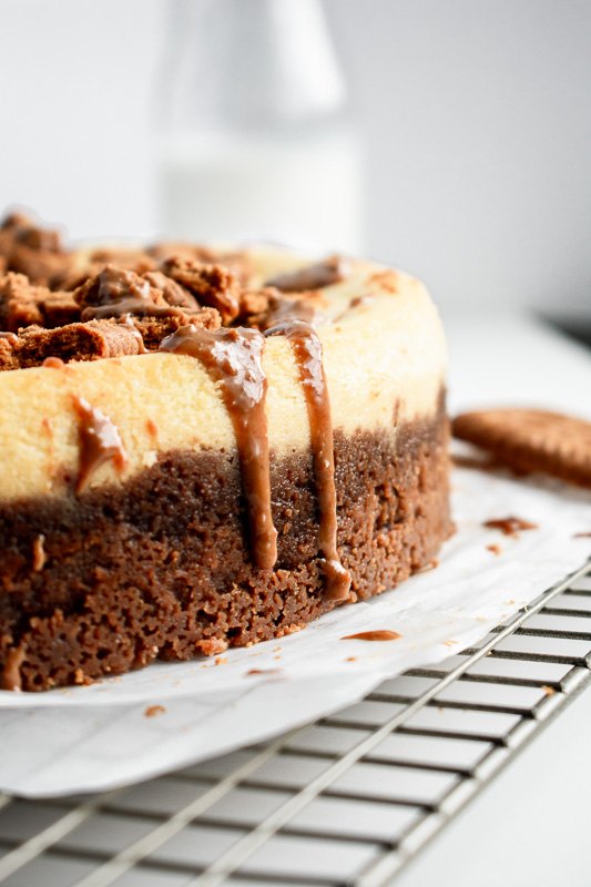 cookie butter ricotta cheesecake