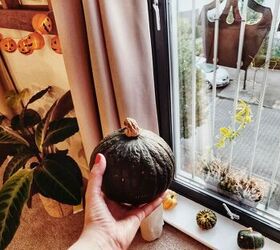 how to cook the whole pumpkin in a slow cooker, Kabocha Squash