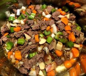 instant pot frozen beef stew