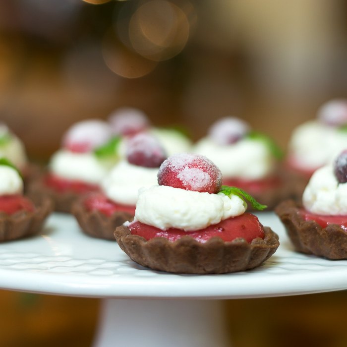 chocolate tart recipe with cranberry filling