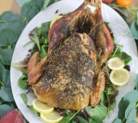 best thanksgiving turkey recipe