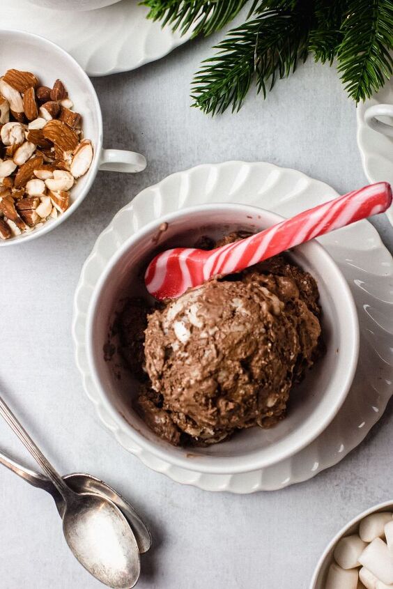 dairy free christmas cookie ice cream a low fodmap dessert