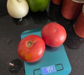 Leona’s Tomato & Onion Spaghetti Sauce | Foodtalk