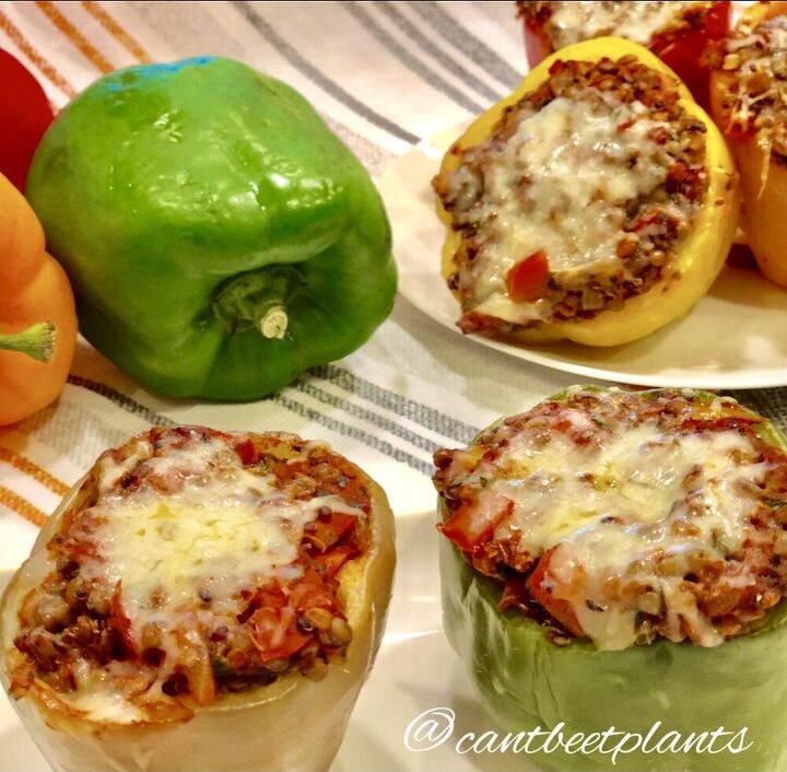 lentil and quinoa stuffed peppers