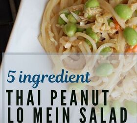 Thai Recipes: 5 Ingredient Thai Peanut Lo Mein Salad | Foodtalk