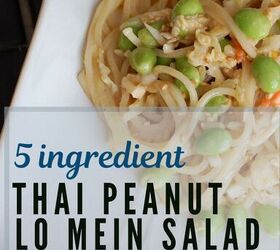 thai recipes 5 ingredient thai peanut lo mein salad