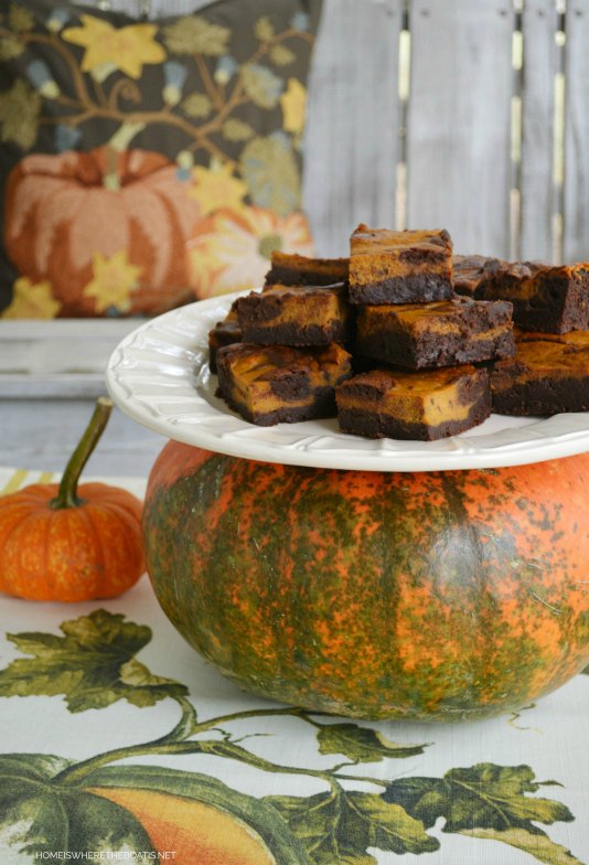 s 15 mind blowing brownie recipes we can t wait to try, Pumpkin Spice Chocolate Swirl Brownies