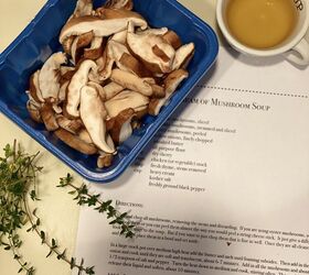 Cream of Wild Mushroom Soup | Foodtalk