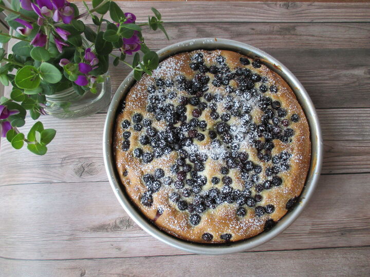s 18 fruity baked desserts, Blueberry Sour Cream Coffee Cake