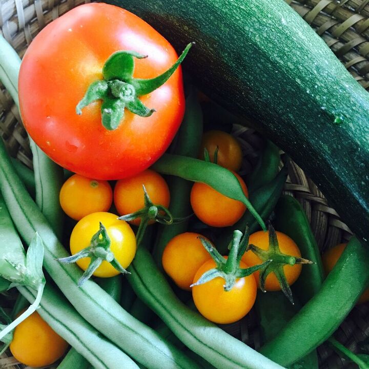 tomato bruschetta that is easy and quick to make