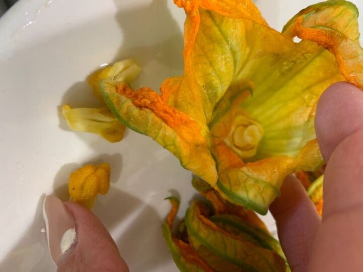 fried zucchini blossoms, Removing the pistil