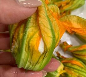 fried zucchini blossoms, Wrapping the Blossoms