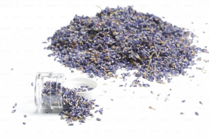 mid winter tea thyme, Dried Lavender Flowers