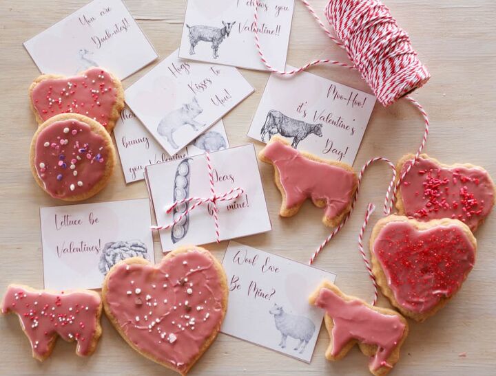 whole wheat sugar cookies with beet colored icing