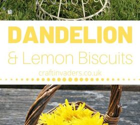 how to make delightful dandelion lemon biscuits