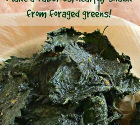 how to make delicious healthy stinging nettle crisps