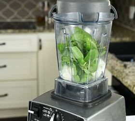 naturally green shamrock shake, Place ice cream extract and mint leaves in a blender