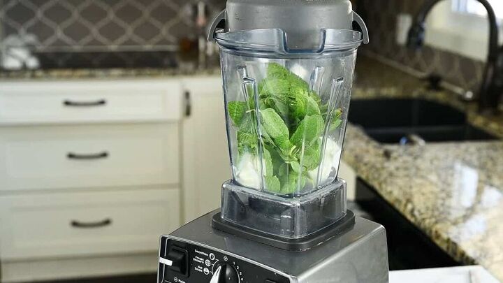 naturally green shamrock shake, Place ice cream extract and mint leaves in a blender
