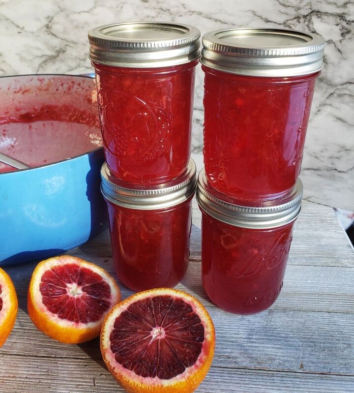 blood orange jam