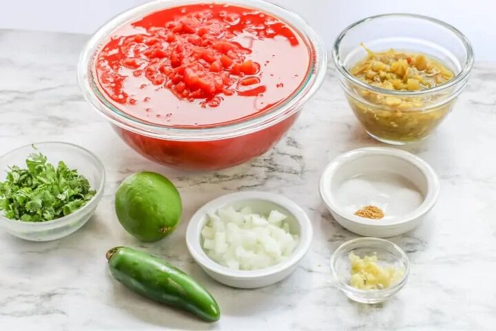 blender salsa