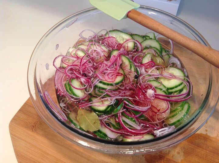 pickled cucumber and red onion