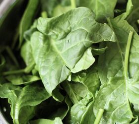 spicy chickpea spinach salad recipe