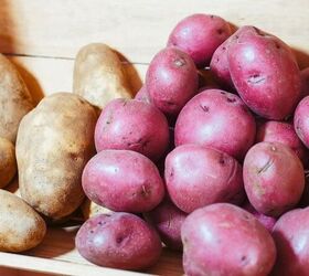 hasselback potatoes recipe