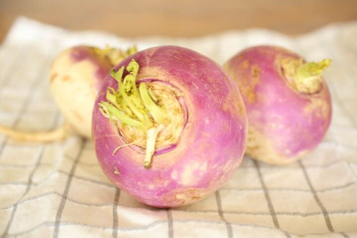 the three best ways to eat turnips turnip patties mashed and roaste