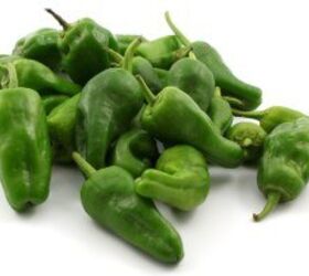 peppers del padr n, Raw