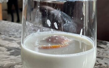 Fermented Milk AKA Milk Kefir
