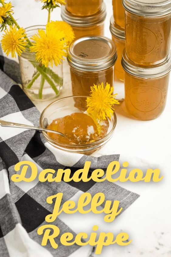 how to make dandelion jam