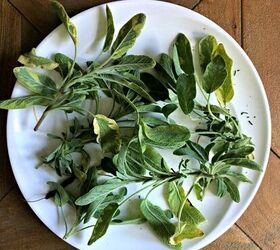 How to Dry Herbs in the Microwave Foodtalk