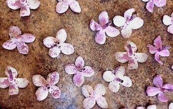 Candied Lilac Flowers