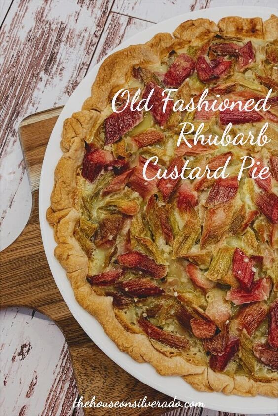 old fashioned rhubarb custard pie