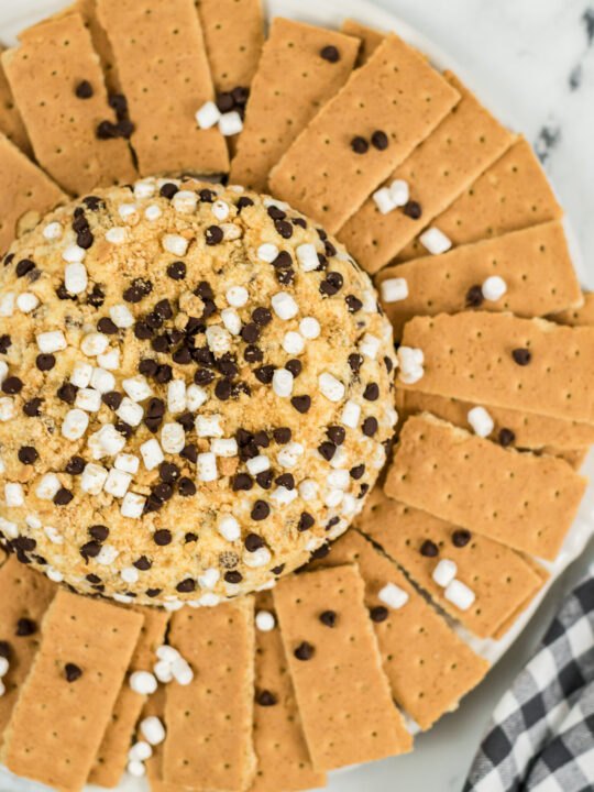 you will want to dip into this sweet s mores cheeseball dessert recipe