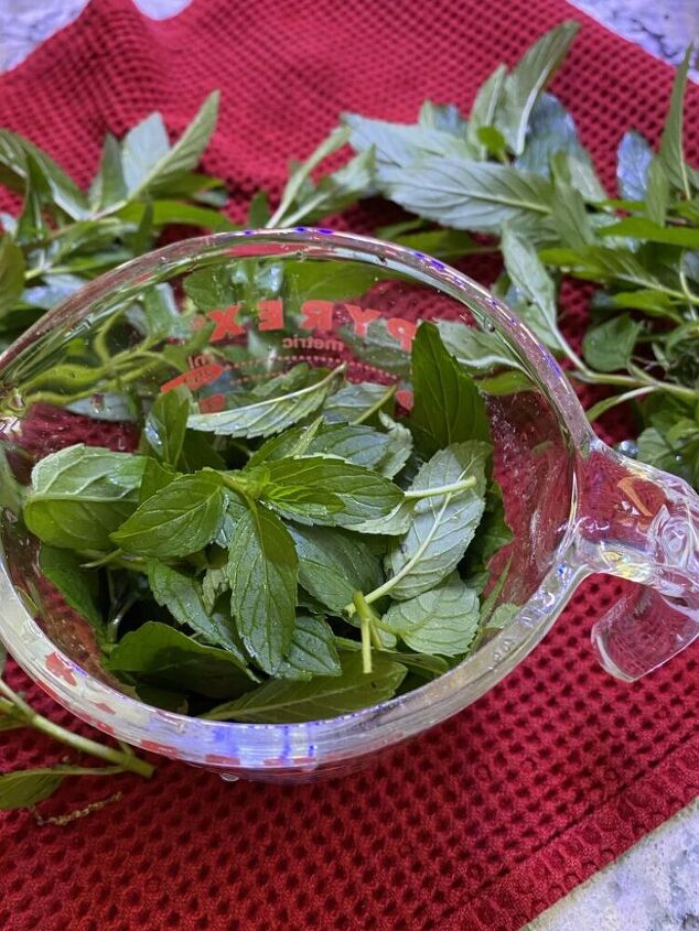 easy mint simple syrup