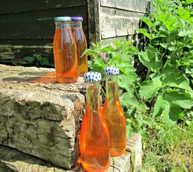 How to Make Delicious Stinging Nettle Cordial