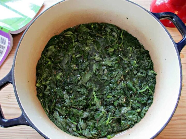 how to make delicious stinging nettle cordial