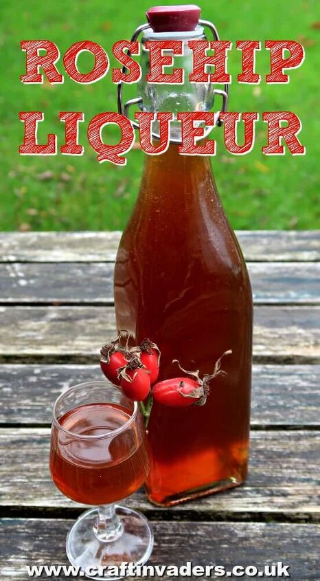 how to make a delightful rosehip liqueur