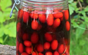How to Make a Delightful Rosehip Liqueur