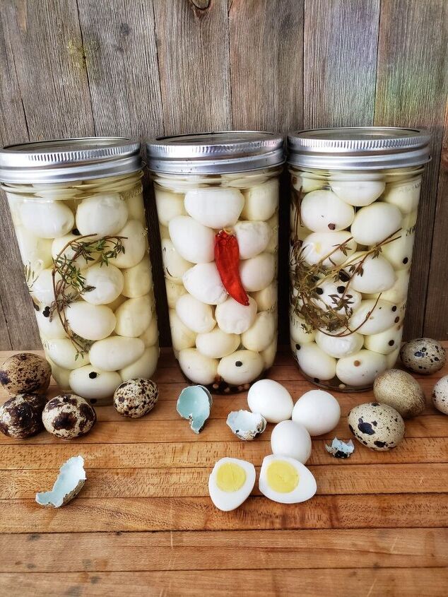 pickled quail eggs