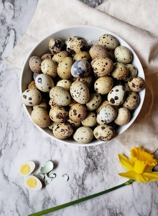 pickled quail eggs