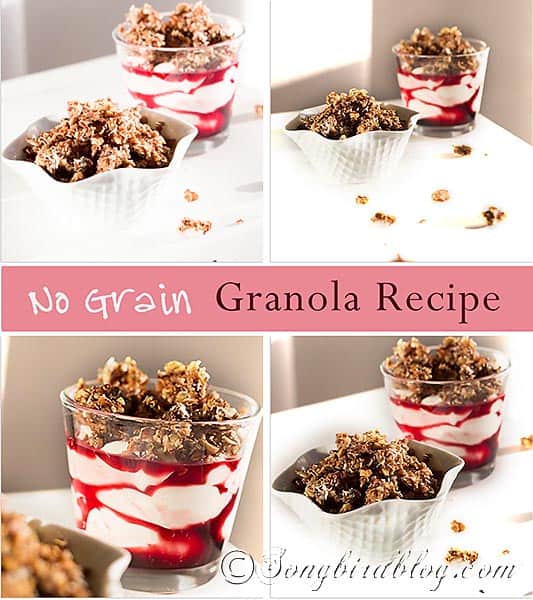 no grain low carb granola recipe